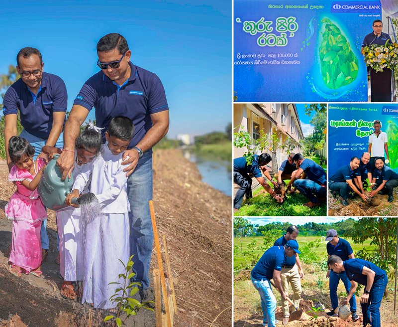 කොමර්ෂල් බැංකුවේ ‘තුරු පිරි රටක්’ තිරසාර වැඩපිළිවෙල යටතේ තවත් ගස් 100,000ක් සිටුවීමේ ව්‍යාපෘතියක්