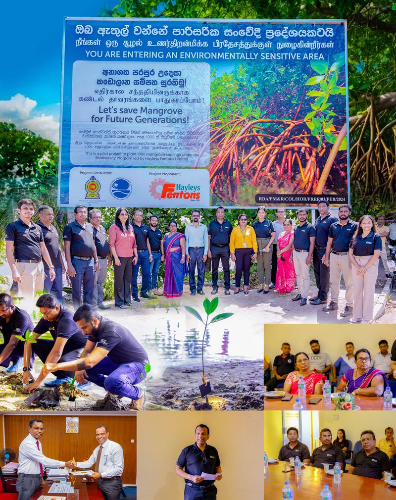 Hayleys Fentons Launches “Roots of Resilience” Programme to Restore Bolgoda River’s Mangroves