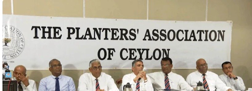 අත්තනෝමතික අයුරින් වතු කම්කරු වැටුප් වැඩි කිරීම සම්බන්ධයෙන් වැවිලි කරුවන්ගේ සංගමයේ දැඩි විරෝධය