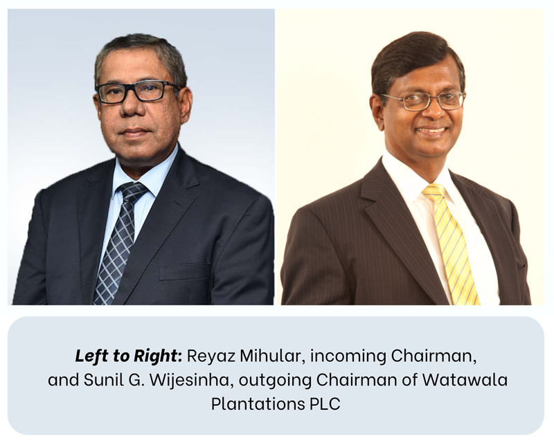 වටවල වැවිලි පීඑල්සී නව සභාපති ධුරයට රියාස් මිහුලර් ර්පත්වේ