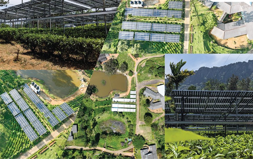 Hayleys Solar Selected for First-of-its-Kind ADB-Developed and Financed, Agrivoltaics Project in Sri Lanka