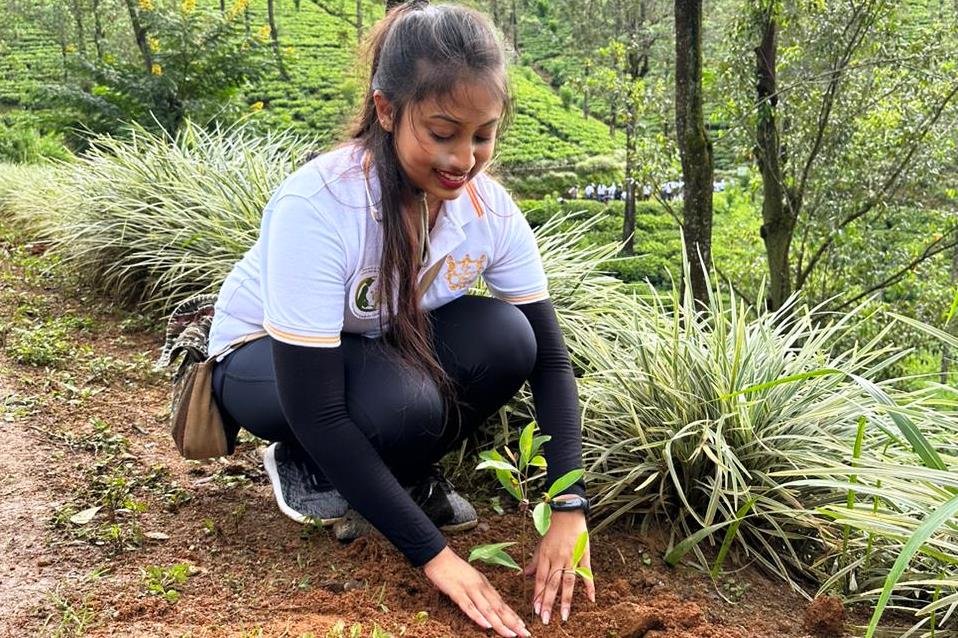 The Grand Kandyan celebrates a decade of success with a tree planting campaign