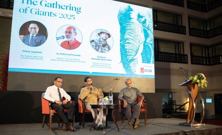 ஆசியாவின் மிகப்பெரிய ‘யானைகளின் சந்திப்பு’: Cinnamon Hotels & Resorts ஏற்பாடு செய்துள்ள ‘The Gathering of Giants’ ஹபரனையில்!