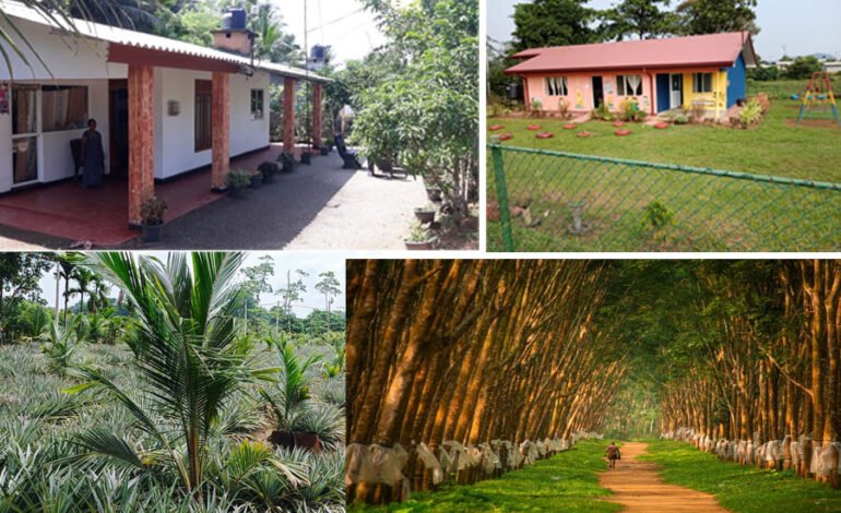 புத்தாக்கம், நிலைத்தன்மை மற்றும் கலாச்சார மரபுகளைக் கொண்ட நியூஷட்டல் எஸ்டேட்