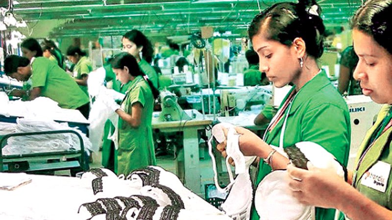 2025 ஜூலை மாதத்திற்கான ஆடை ஏற்றுமதிதரவு