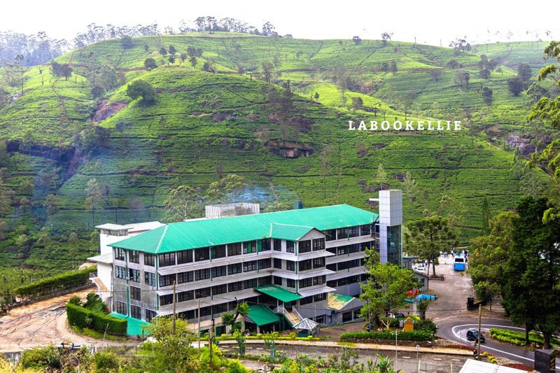 සම්ප්‍රදාය සහ අනාගත දැක්මත් සහිත නවෝත්පාදනය මුසු වූ ලබුකැලේ තේ වතුයාය