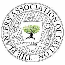 දිට්වා සුළි කුණාටුව හේතුවෙන් වැවිලි ක්ෂේත්‍රයට ඇති වූ බලපෑම