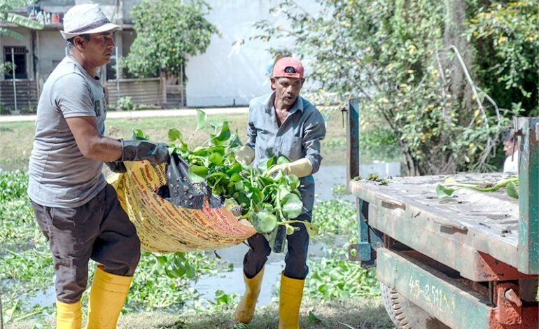 ஜப்பான்ஜபர (Water Hyacinth) ஊடாகவாழ்வாதாரவாய்ப்புகளைஉருவாக்கும் ‘Hyacinthesis’ ஊக்குவிப்புத்திட்டம்ஆரம்பம்