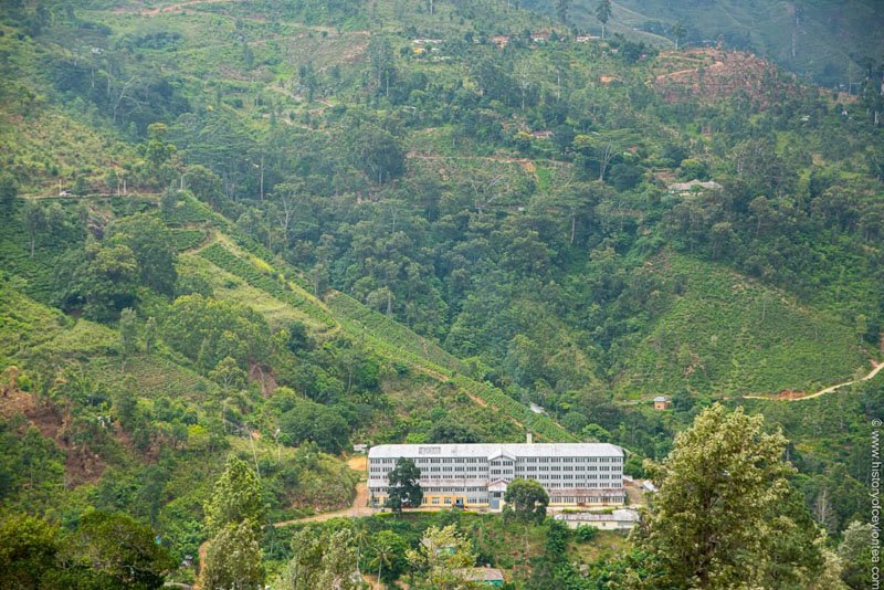 1880இல் இருந்து நிலம், மக்கள் மற்றும் பாரம்பரியத்தை மேம்படுத்தும் கன்னவெரெல்ல எஸ்டேட்