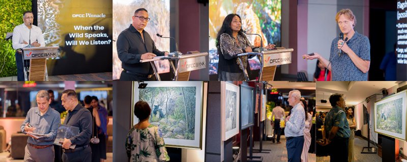 When the Leopard Moves, the Forest Breathes