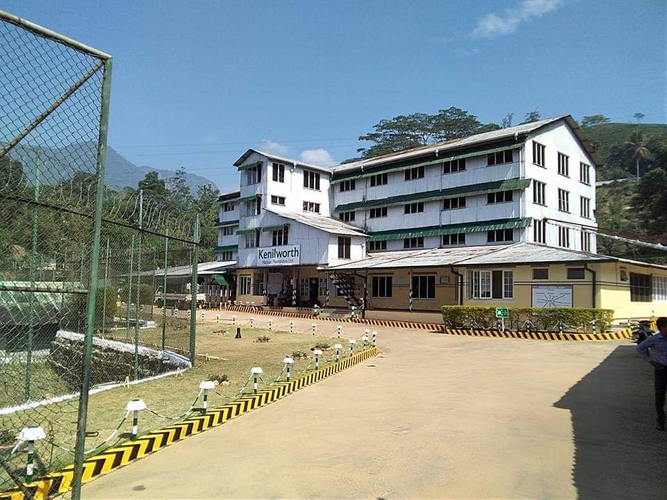 புத்தாக்கம் மற்றும் பாரம்பரியத்தின் மூலம் உயர் தர இலங்கை தேயிலையை உருவாக்கும் கெனில்வர்த் தோட்டம்