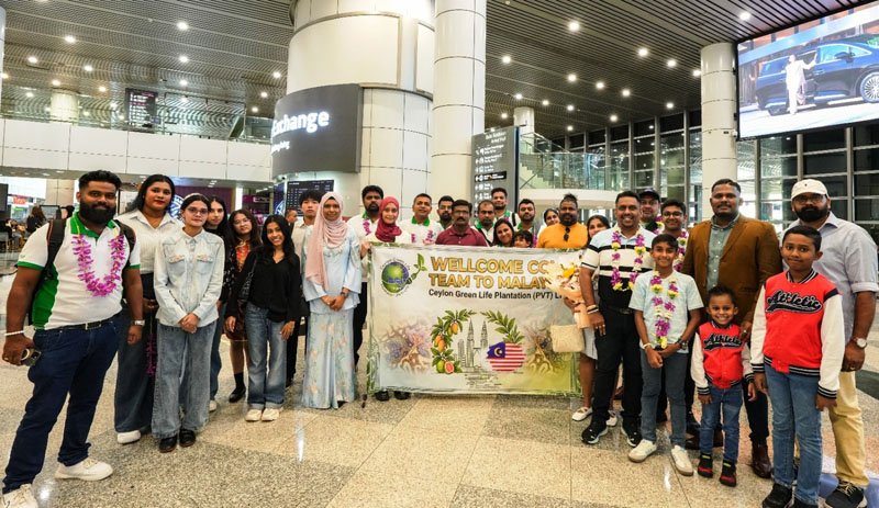 Ceylon Green Life Plantation expands internationally with Malaysia greenhouse venture