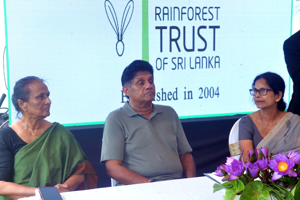 ශ්‍රී ලංකා වැසි වනාන්තර භාරය, වෘක්ෂලතා වල නාමපුවරු සවි කර මහජනතාව වෙත ප්‍රදර්ශනය කරමින් කොළඹ පාරිසරික සංරක්ෂණ කලාප නිර්මාණය කරයි