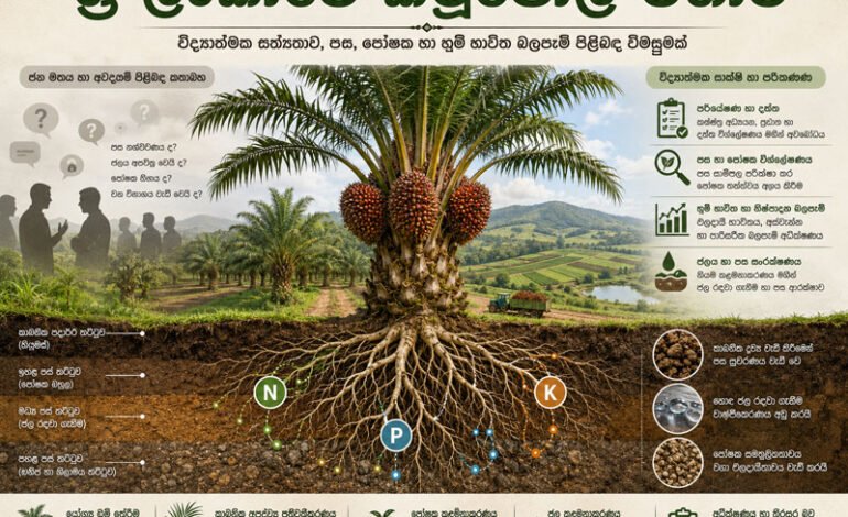 විද්‍යාත්මක සත්‍යතාව සහ මහජන මතය, ශ්‍රී ලංකාවේ කටුපොල් (ඔයිල් පාම්) වගාවේ පස, පෝෂක, හා භූමි භාවිත බලපෑම් පිලිබඳ විමසුමක්