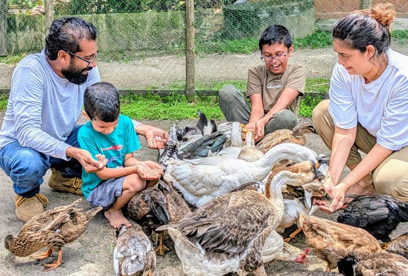 Panda Farmacy announces reopening following months of restoration after Cyclone Ditwah