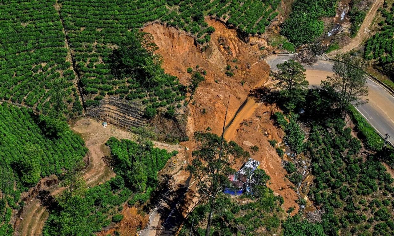 කලාපීය වැවිලි සමාගම් සහ වැවිලි මානව සංවර්ධන භාරය දිට්වා ආපදා ප්‍රතිසංස්කරණ සඳහා වූ තම කැපවීම යලිත් තහවුරු කරයි