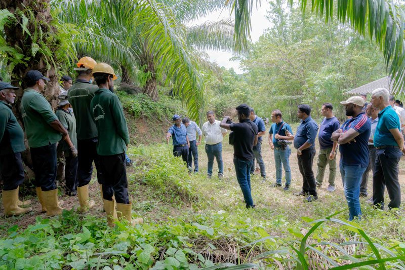 POIA Calls for Facts Over Myths in Discussion on Southern Oil Palm Cultivation and the Environment