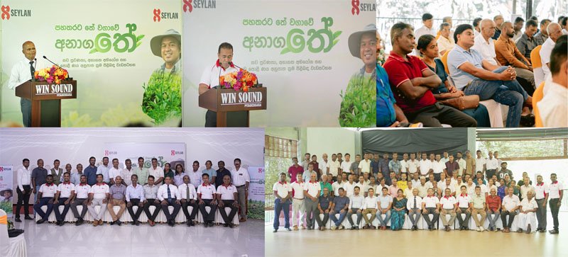 සෙලාන් බැංකුව දකුණු පළාතේ කුඩා තේ වතු හිමියන් සවිබල ගැන්වීම සඳහා SME Scale-Up වැඩසටහන් මාලාවක් පවත්වයි