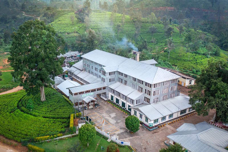 සමර්සෙට් වතුයාය, කිසිදා නොබිඳුණු උරුමයක අඛණ්ඩ ගමන