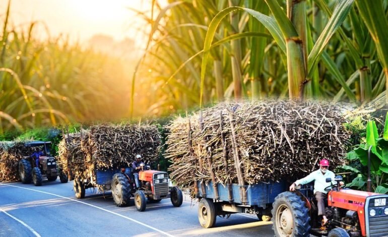 විශිෂ්ට රාජ්‍ය – පෞද්ගලික සබඳතාවක උරුමය තුලින් දැයේ දියුණුවට දිරි දෙන ගල්ඔය  ප්ලාන්ටේෂන්