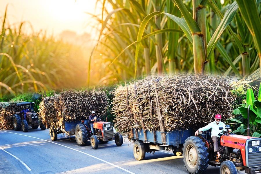 විශිෂ්ට රාජ්‍ය – පෞද්ගලික සබඳතාවක උරුමය තුලින් දැයේ දියුණුවට දිරි දෙන ගල්ඔය  ප්ලාන්ටේෂන්